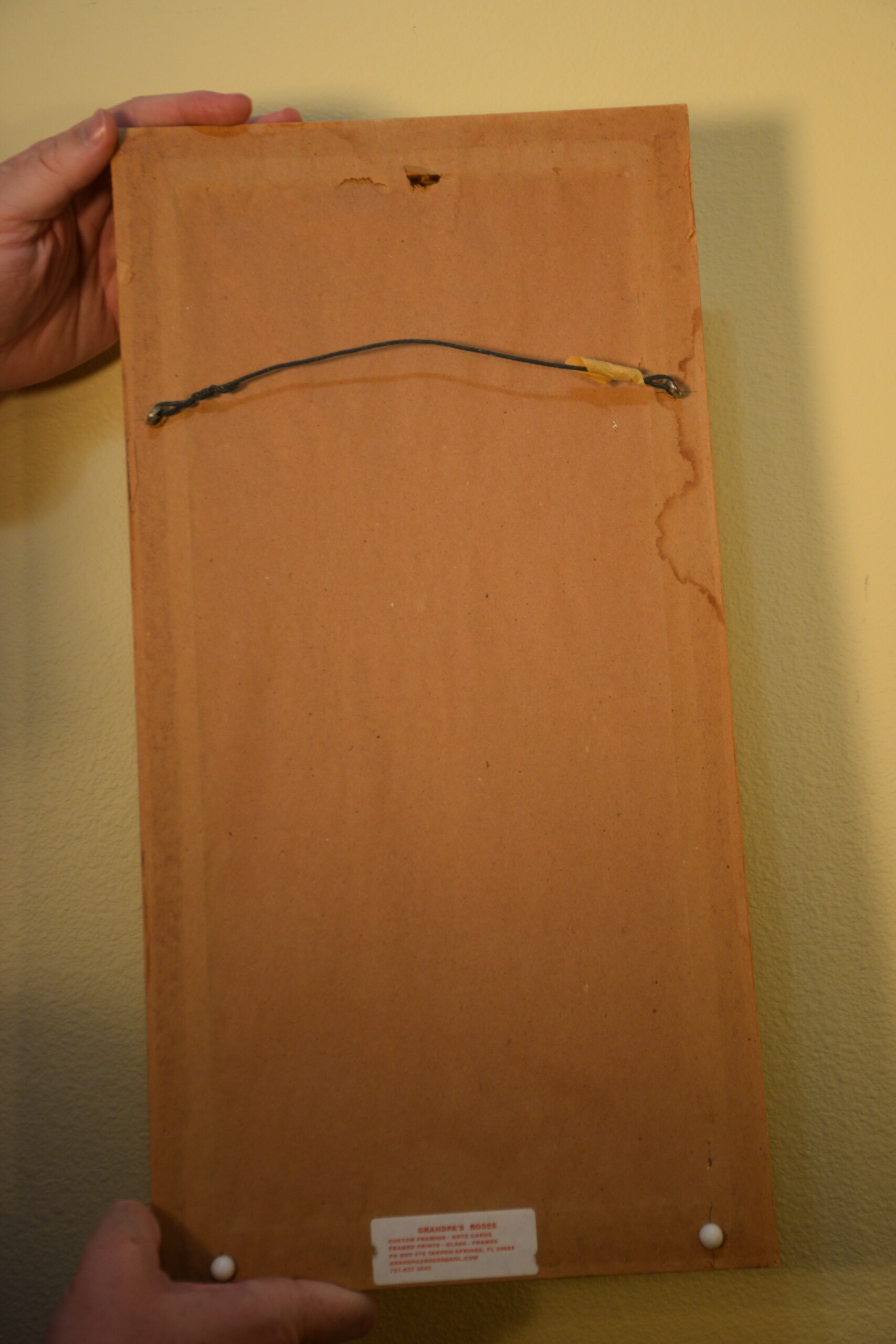 Tropical Fish Triptych - Image 7